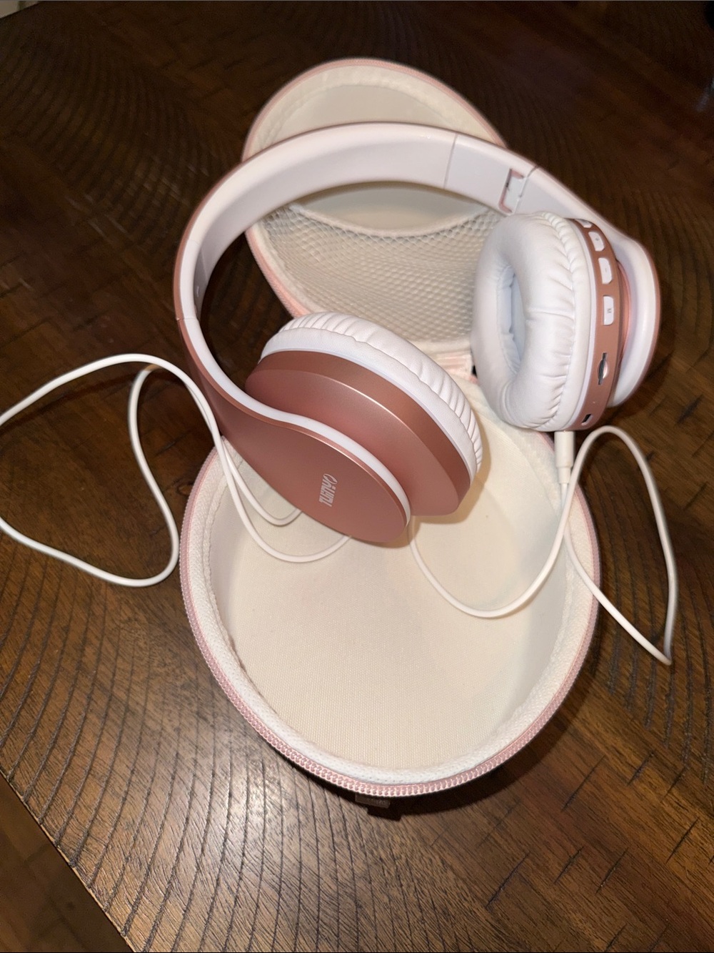 Tuiny earphones with case and cord no charger